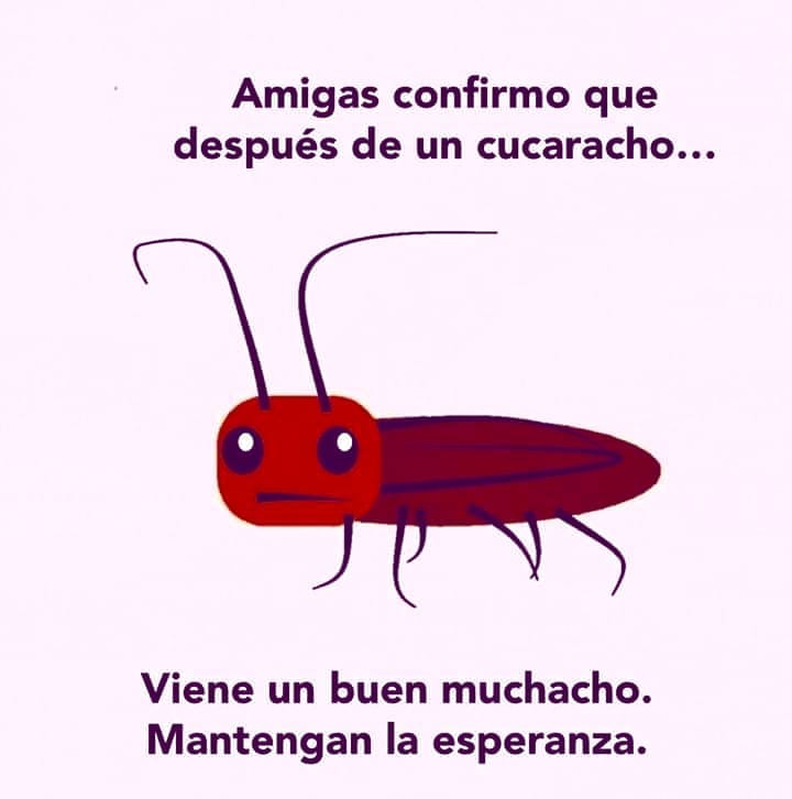 AnaPausisima's tweet photo. @MagalidelaCueva no lo digo yo, lo dice la ciencia ☝️🙊🤣 https://t.co/p2a343vaSY