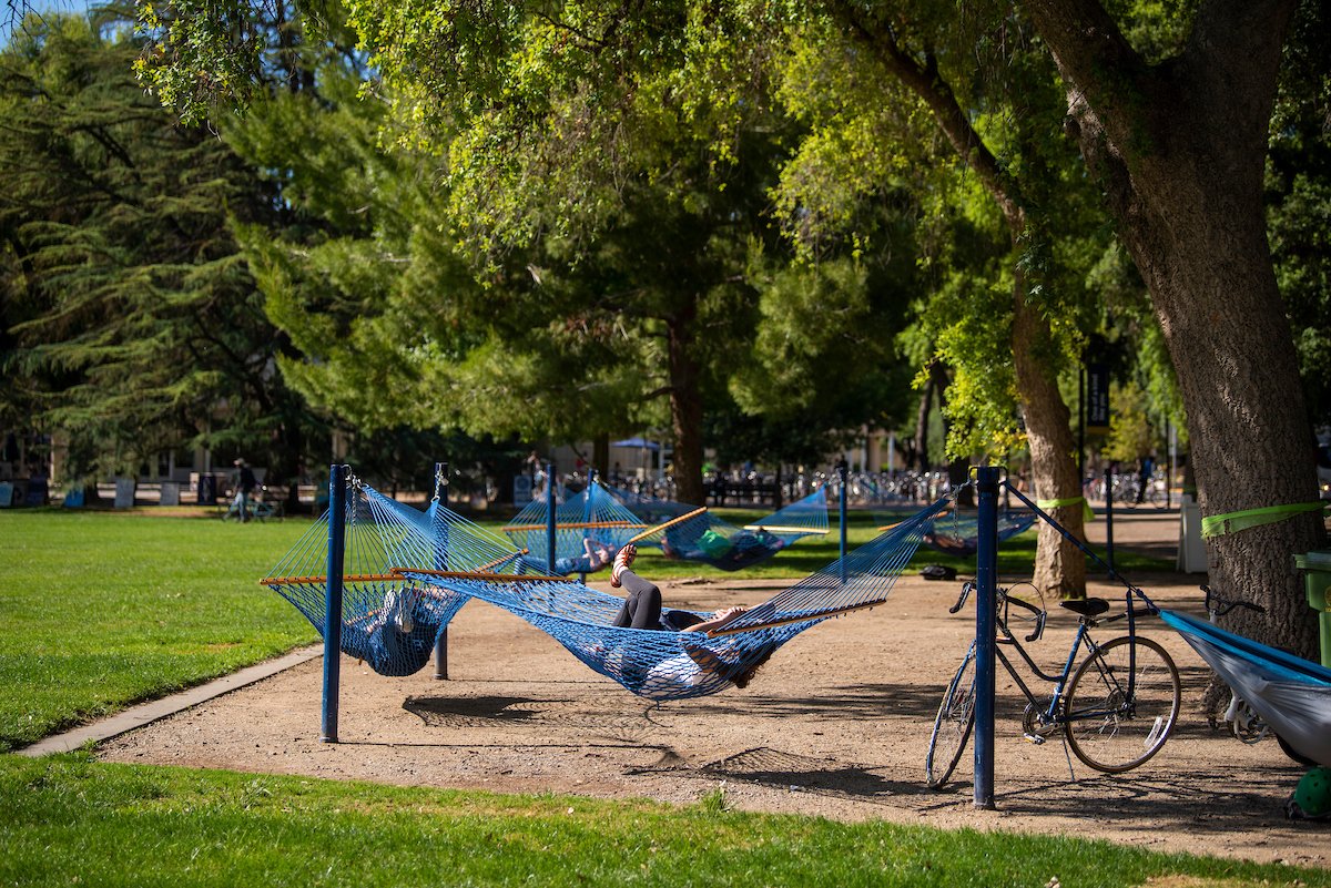 ucdavis's tweet photo. A little lunchtime rest and relaxation. https://t.co/lO8kmLpUKX