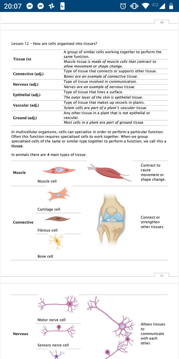 brett_kingsbury's tweet image. Here it is. This booklet is the culmination of 7 months of engaging with research. I got my dept to overhaul our KS3 curriculum & embed some basic #cogscisci principles & this is the start of Biology. Find it here for free: drive.google.com/folderview?id=…