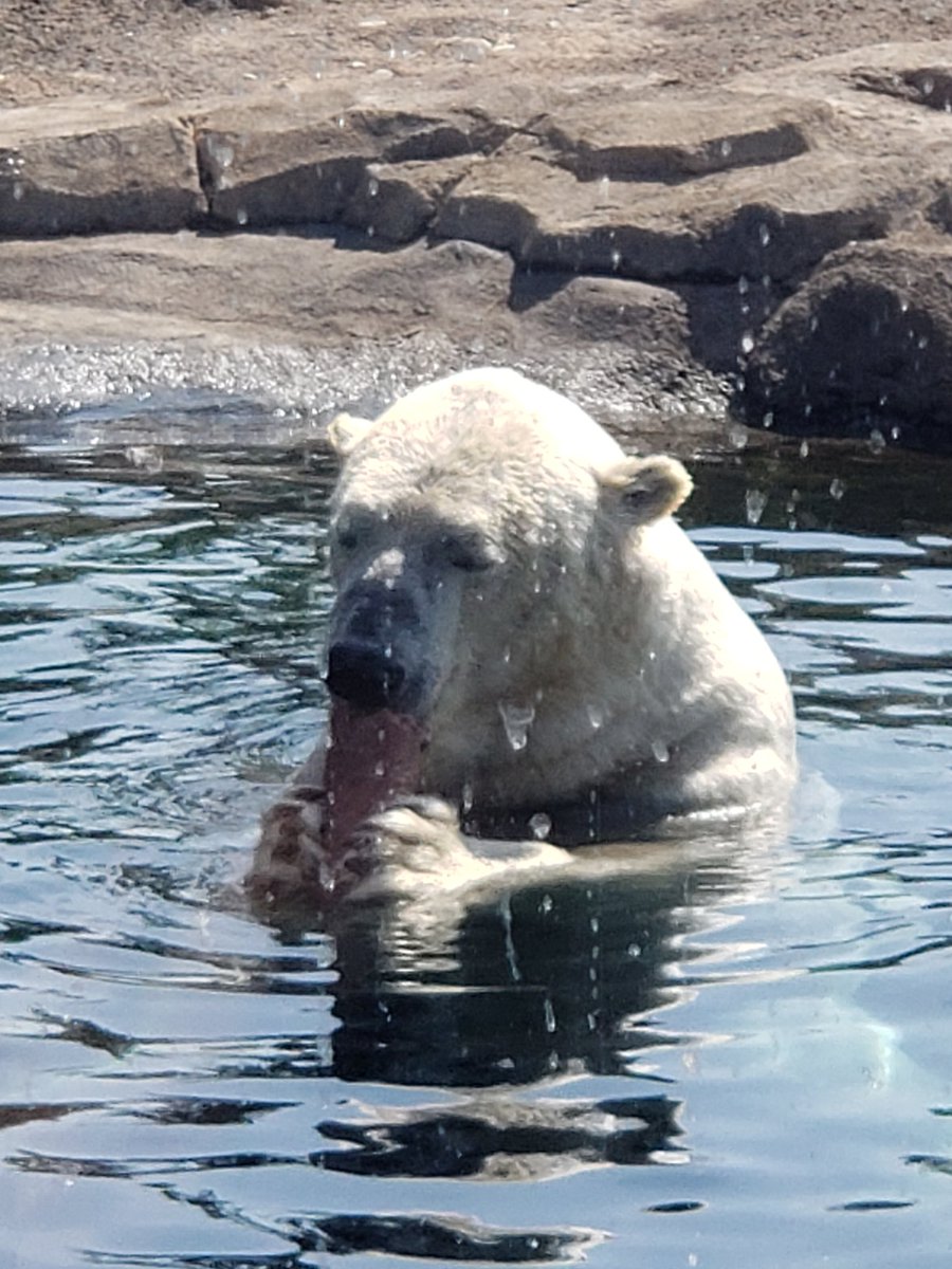 #SecretsoftheZoo is one of our favorite shows to watch.We planned our vacation around the opportunity to visit the Columbia Zoo and The Wilds. We enjoyed visiting w/ some of the zoo keepers &amp; Curt took the time to visit w/ the family. A great vacation.  @natgeowild <a href="/ColumbusZoo/">Columbus Zoo</a>