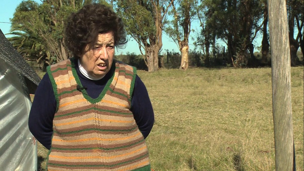 IdCanelones's tweet photo. 🎥 #Documentados>En esta producción de @ERegionalTV te invitamos a conocer a Las Julianas, un grupo de mujeres de Tapia que se dedican hace 12 años a la recolección de hierbas.
🎥Mirá el video aquí 👉https://t.co/HPX0rbycVS https://t.co/ZHSvnC74nj