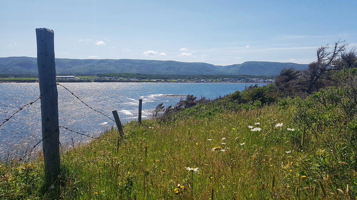 keepexploringCB's tweet photo. Find places that bring you happiness #favoriteplacetobe #cheticampisland #explorecb #CapeBreton https://t.co/n3uBTW5ugb