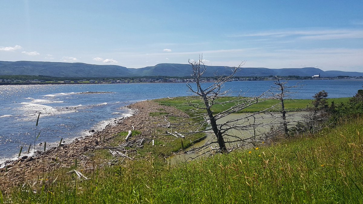 keepexploringCB's tweet photo. Find places that bring you happiness #favoriteplacetobe #cheticampisland #explorecb #CapeBreton https://t.co/n3uBTW5ugb