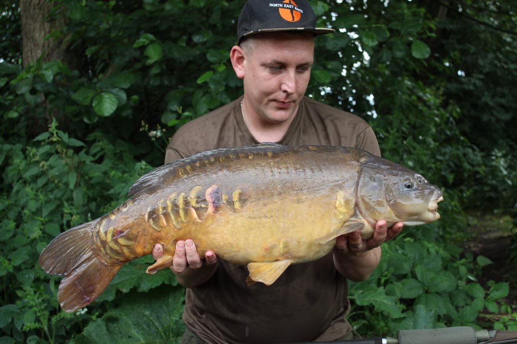Regular North East Baits user Dave banks a lovely Mirror.                  facebook.com/northeastbaits/