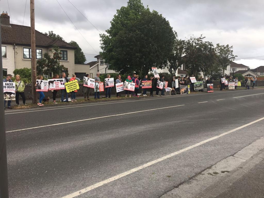 noonan_malcolm's tweet photo. A great turnout tonight at #Kilkenny #greyhoundtrack @greenparty_ie @ISPCA1 #icabs @RCPilkington @ashanimalrescue https://t.co/JxyERNyGLI
