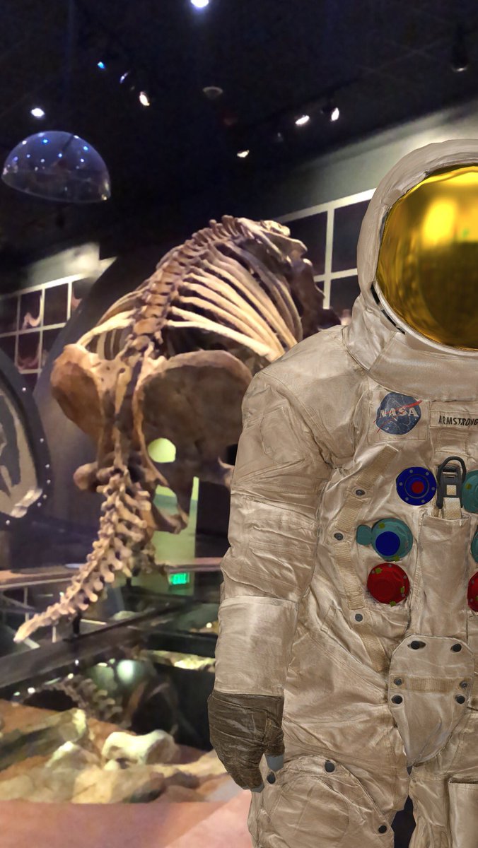 WesternCenter's tweet image. Ask and you shall receive. #slothbutt #Apollo50th #Apollo11at50