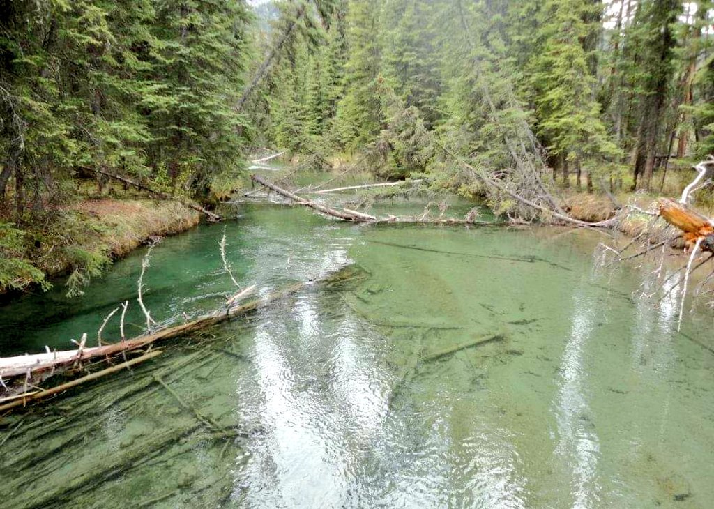 ChefPacoAlmeida's tweet photo. Para todos los incrédulos que no creen que el verano 🍁 canadiense levanta hasta 30 grados!
Las fotos son del 2011 en #Banff
Ardillas, lagos y ríos!
#EnCanada
#MeLaJuegoHastaCanada https://t.co/n2F4u1zOIM