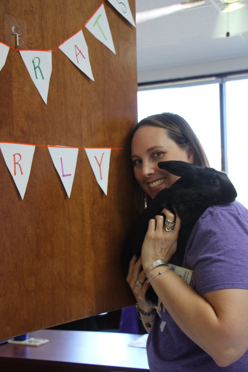 spcaoftexas's tweet photo. Office favorite Tarly was just adopted by his foster mom and SPCA of Texas staff member, Holly! He got lots of bunny treats and showed off his new tricks! #Friyay https://t.co/Oc8TJg9WJy