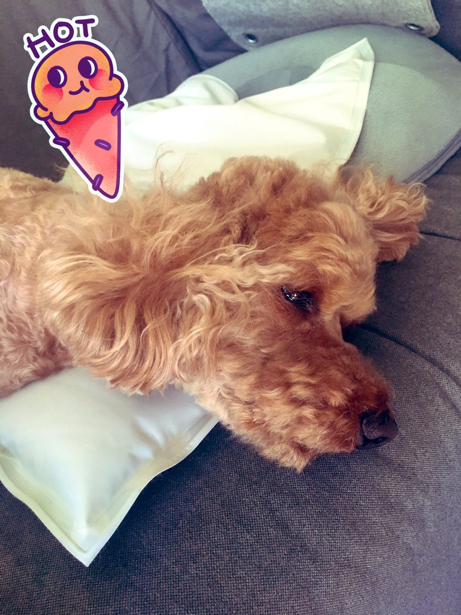misty0516's tweet photo. I heard that Sunday is National ice cream day. Can I get an 🍦too? ☀️☀️☀️ https://t.co/9ZAQDKMfsl