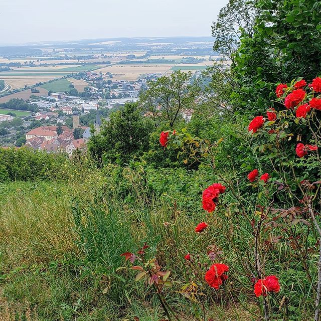 Lisapatb's tweet photo. Beautiful view of the Franconian Countryside in Bamberg, Germany.
-
-
-
#bamberg #germanytrip #myvikingstory #europeanvacation #riverboating #nature_captures #naturephotography #inspiringcountry #castles #richhistory https://t.co/fWKzUAypEL https://t.co/fSZIRzi0Sp
