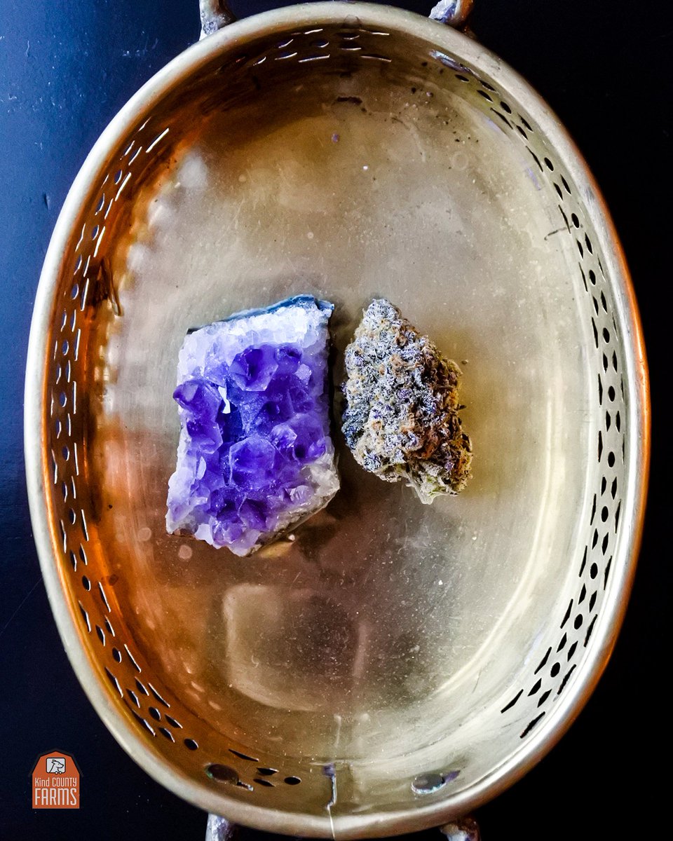 Purple Punch Power 😈😍 // Summer 2019 Harvest
.
.
.
#cannabiscommunity #weshouldsmoke #joints #westcoast #haight #outerrichmond #sanfranciscoworld #bernalheights #southbeach #bayareaevents #sfgate