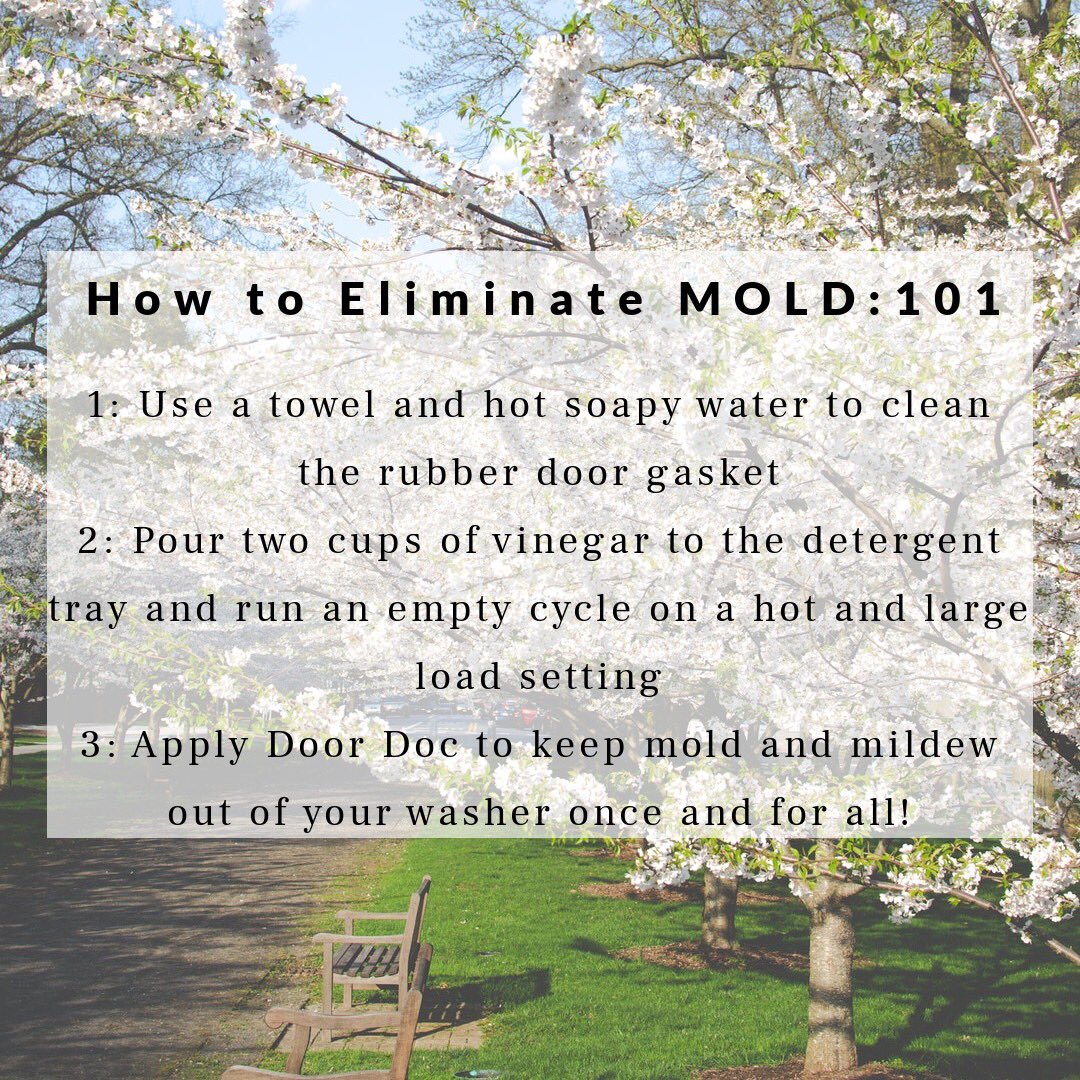 Door__Doc's tweet photo. How to eliminate mold:101 https://t.co/oQ2MI4qOjj
