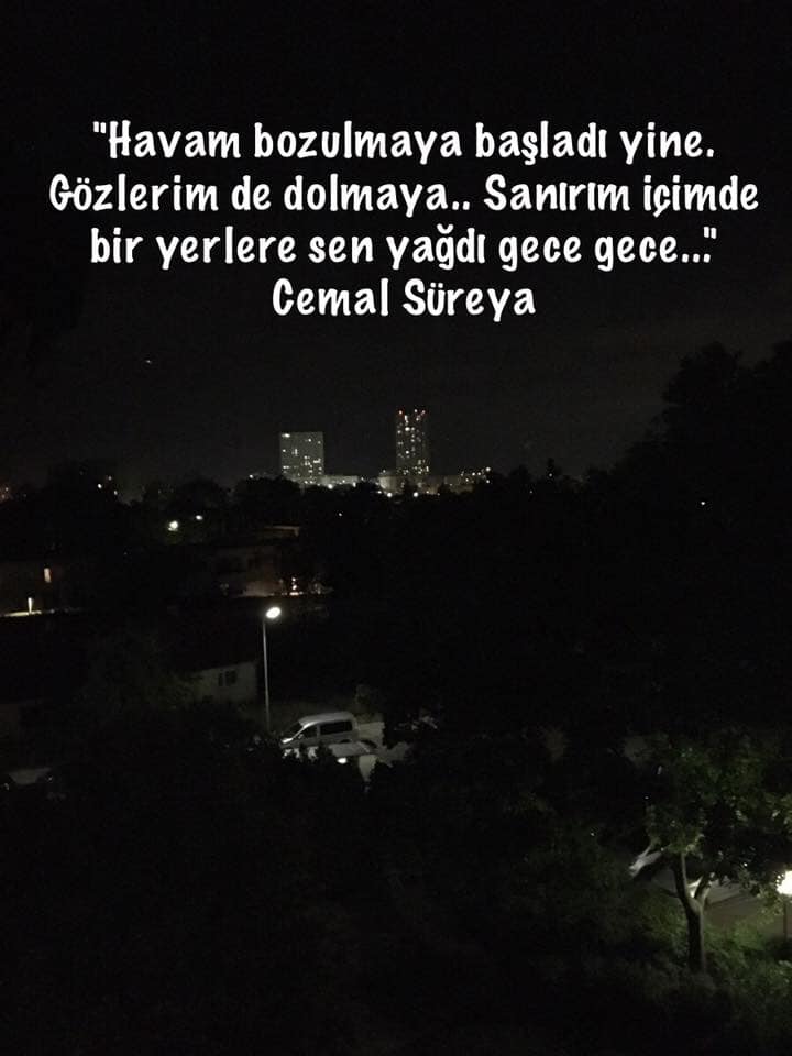 Ben_Anadoluu's tweet photo. @hzlandrc Diyor ya şair;
''Gece iyidir, uyutur yaraları..''
Ya şair, ya da gece yalancı..
Hatıralar da dal istiyor,
Kuşlar gibi konacak.
#Mutlu_Geceler_ Yüreği güzel DENIZ"IM.... 🙏 🌹 ☕ ❤ 💙 💛 https://t.co/tnBXCYdxXj