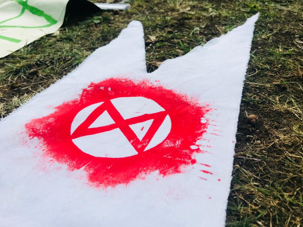 Heute fand ein Fest am Baumhaus Corvus statt. Zusammen mit <a href="/LuneburgF/">F. Lüneburg</a> und weiteren Initiativen haben wir zusammen Kleidung bedruckt, Klettern gelernt, Wildkräuter gesammelt, gespielt und Workshops gehabt. Danke an alle, es war schön mit euch! #extinctionrebellion #rebelforlife