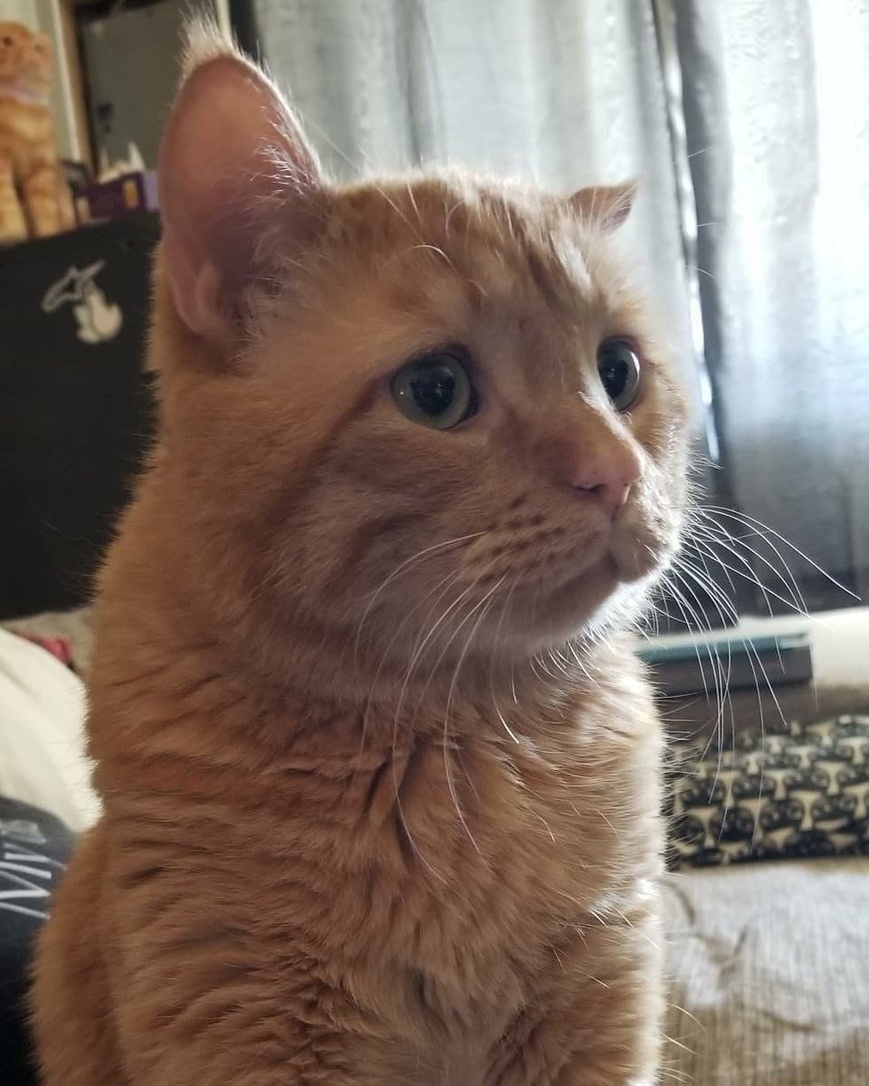 pictures (@pictures) on Twitter photo 