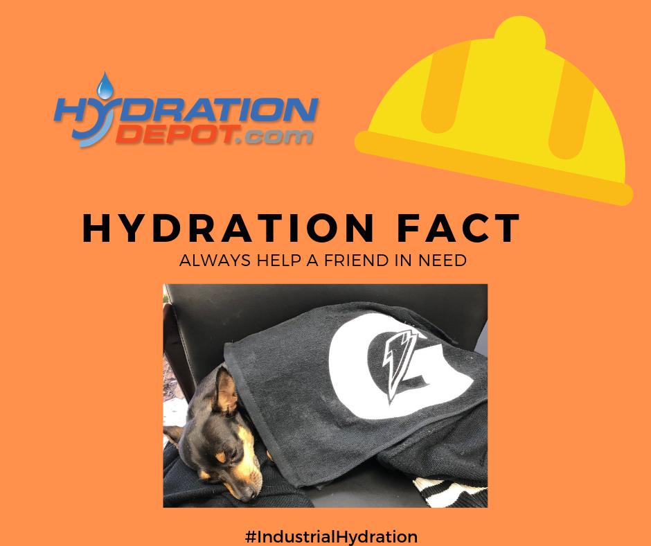 Hydration Depot tweet media