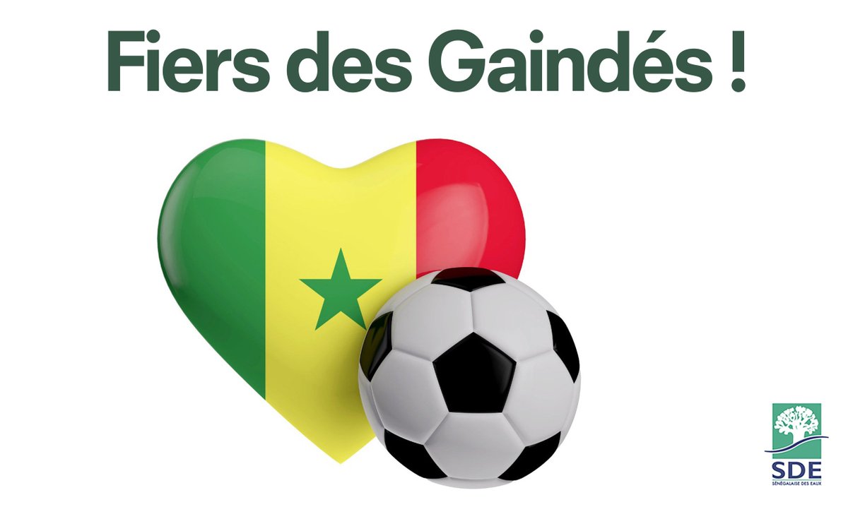 Vous nous avez fait vibrer tout au long de cette compétition. Nous n'avons pas remporté la coupe, mais le peuple est fier de vous. Merci d’avoir hisser aussi haut notre cher drapeau.
#Felicitationgainde
#CAN2019
#SDE
#Kebetu
#Leslionsdelateranga
