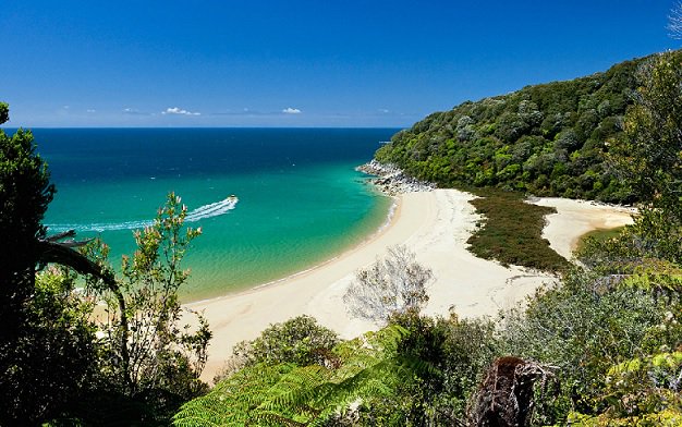 Beaches in New Zealand travelitineraryblog.com/popular-new-ze… #TravelNewZealand #Beaches