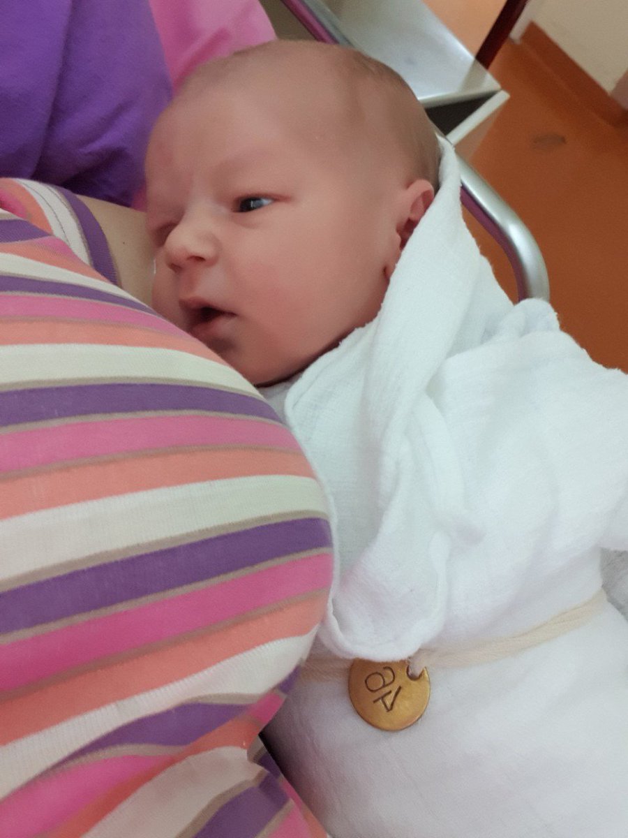 Bačka Kulen Zmija (Salami Serpente Bachkorum) tweet media