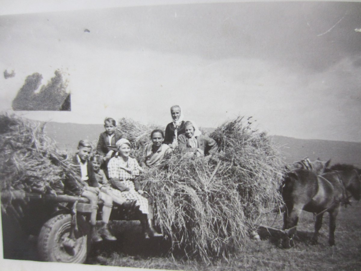 Kathrin Böhm tweet media