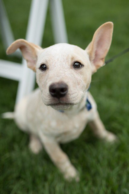 Prosser <a href="/NHLFlyers/">x - Philadelphia Flyers</a> 
Stepan @DerekStepan21 
Zucker <a href="/Jason_Zucker16/">Jason Zucker</a> 
More to come....<a href="/A4A_org/">Athletes For Animals</a> 2019 MN Meritage wine tasting event! New surprises! All for the animals! Dont wait 🎟 eventbrite.com/e/athletes-for…