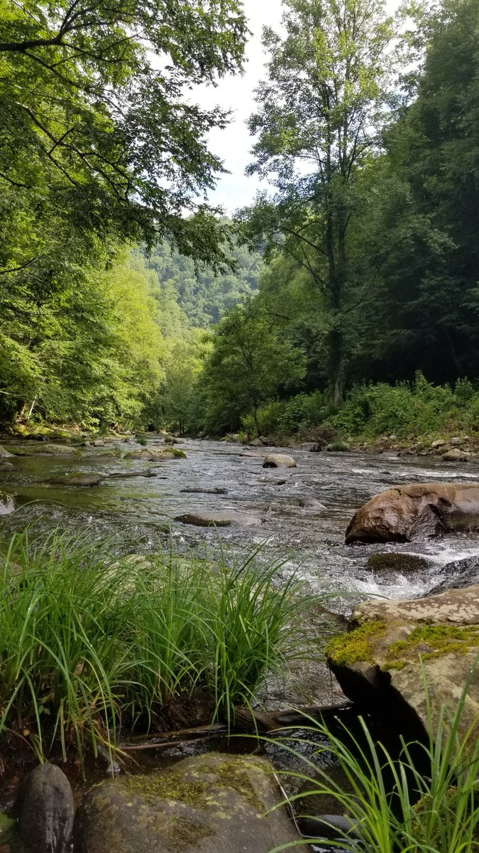 BellBryan's tweet photo. Days 38, 39 and 40. Beautiful runs in the #GreatSmokeyMountains of Andrews, NC.  #RWRunStreak https://t.co/CezJrGKelD