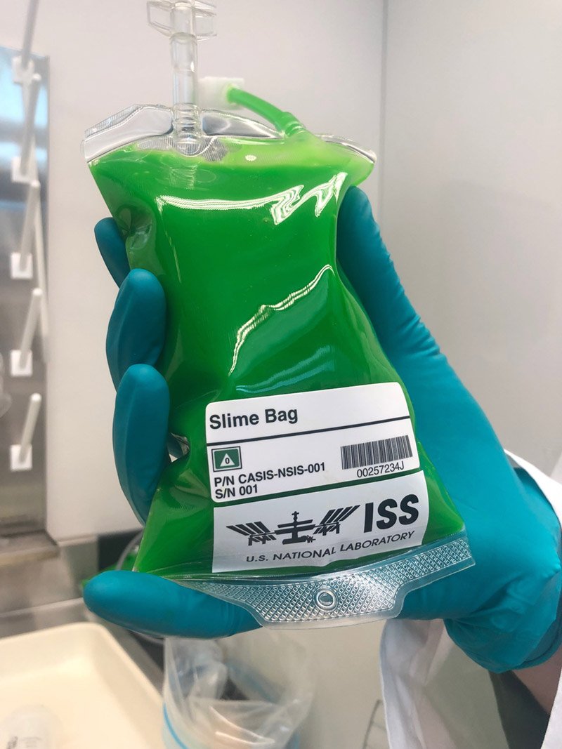 nickelodeon slime backpack