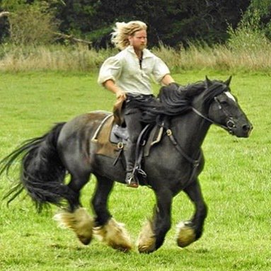 Trying to find his Queen and hiding from the Highwayman! ⚜️⚔️ Musketeer Aramis is on his way to @lambethcountryshow this weekend for some trick riding and stunts on his beautiful horses🐴 (this one is Guinness!) Highwayman Adventure and Medieval Joust… ift.tt/2LW80lk