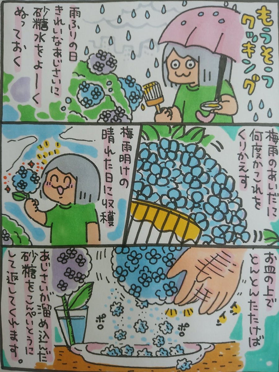【ポップ担当日記】
ポプ担の妄想クッキング。八戸では最近アジサイがとてもきれいに咲いているのですが、おいしそうで仕方ありません。
#ポップ担当日記 