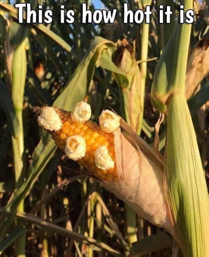 OhioConquer's tweet image. 🔥🔥