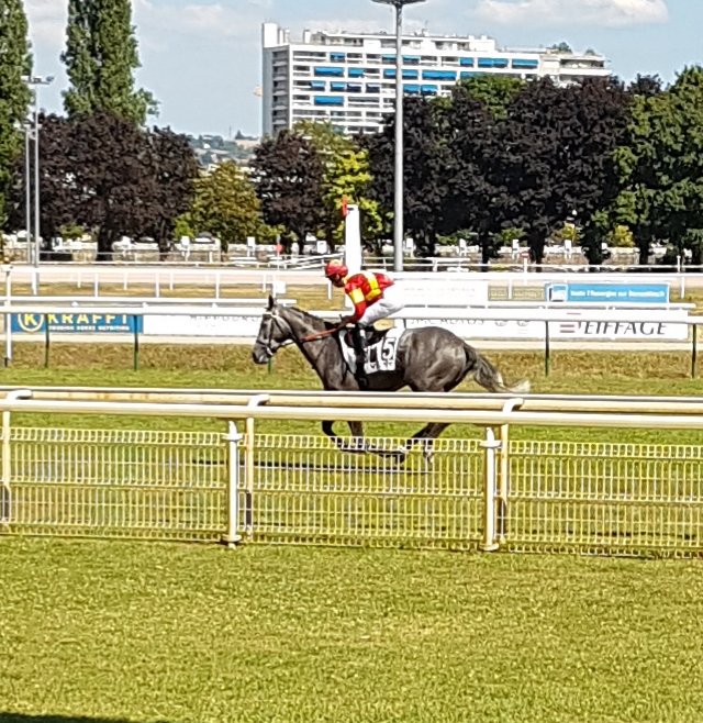 NicBellanger's tweet photo. 19/07/2019 Une bonne journée @CoursesdeVichy avec une 4ème place pour SIMFAUST et KADNIKOV. La journée se termine bien avec une victoire de DILBER 🏆 .
#ecuriebellanger #Simfaust #Kadnikov #dilber #vichy https://t.co/nyEP3podJy