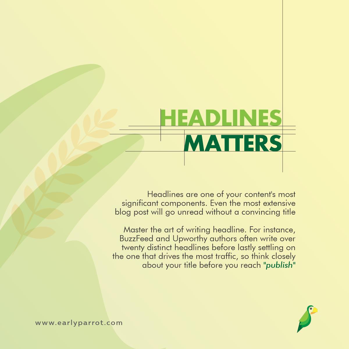 EarlyParrot tweet media