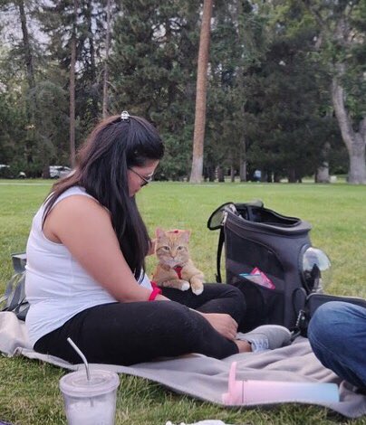 Luna_Dee's tweet photo. Thank you @tolloid for this picture of Murphy and me at your picnic in the park 🥰 #YourCatBackpack #Adventurecats https://t.co/yzuZreEpJO