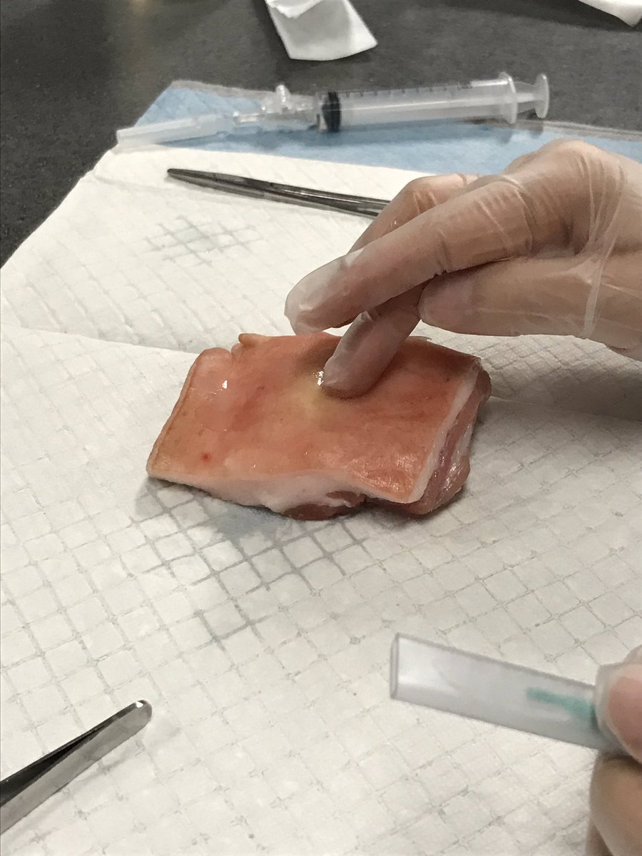 t_reed_t's tweet image. The good ol’ vanilla pudding injection trick for abscess training. #SimEd @LoyolaEM