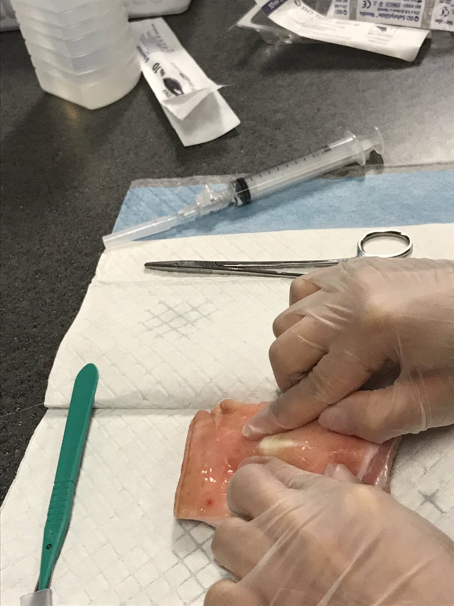 t_reed_t's tweet image. The good ol’ vanilla pudding injection trick for abscess training. #SimEd @LoyolaEM