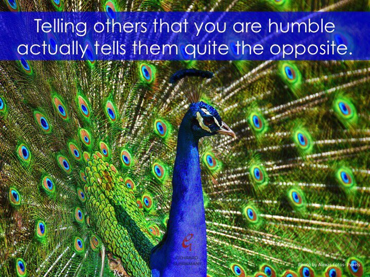 SGehrard's tweet image. Telling others that you are #humble actually tells them quite the opposite #truehumility #beyourbest #lifecoaching 
Begin your journey to an enhanced you - contact gehrard@thetalentmill.co.za