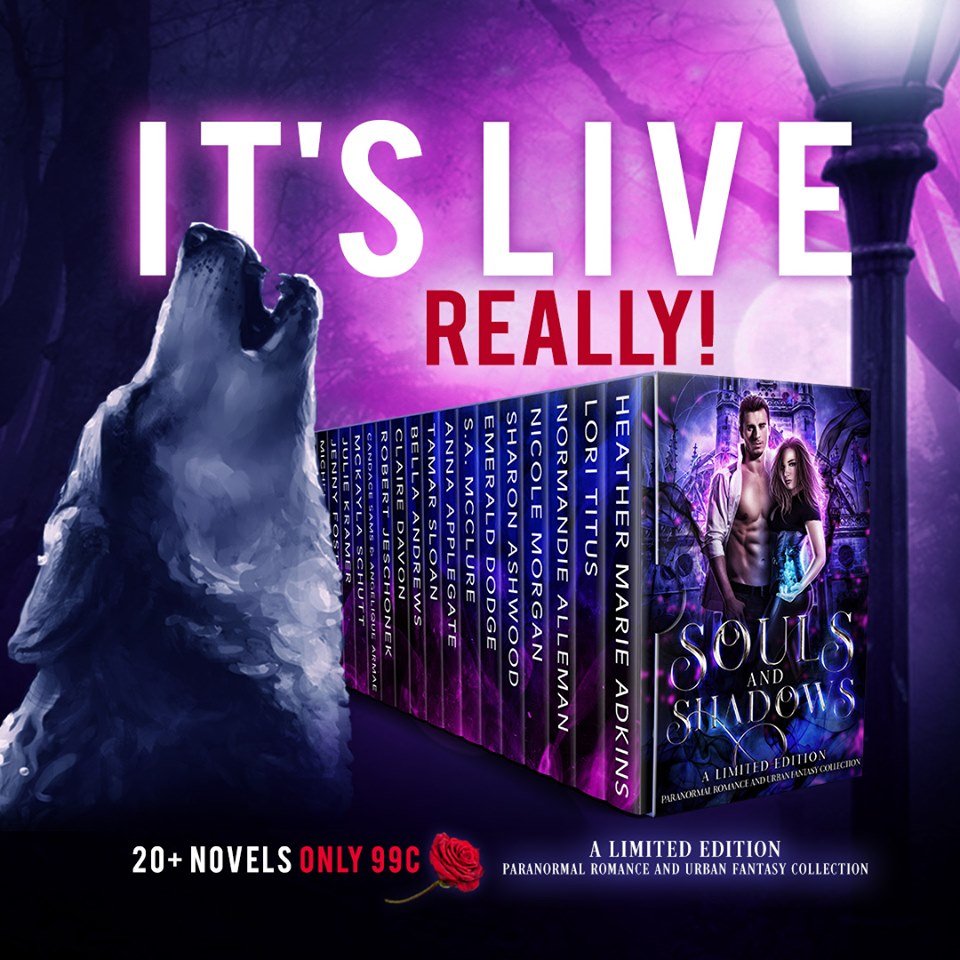 SabrinaRamoth's tweet photo. #SOULSandSHADOWS is LIVE!
More than 20 dark and dangerous paranormal romance &amp; urban fantasy novels for 99c! But you only have until Sunday to grab it at this price. One-click it now and read immediately!
PLEASE RT! https://t.co/JVwiDQIUJB https://t.co/KvwQ17nItO