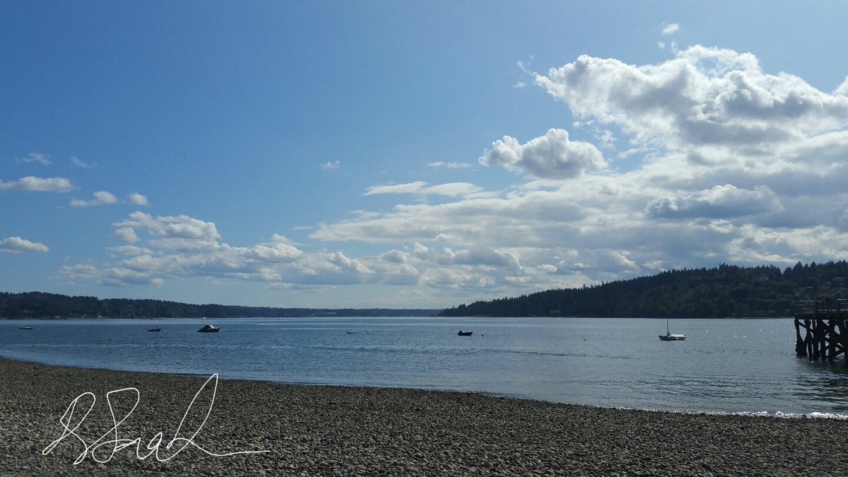 ksneathart's tweet photo. Just a little Tinker dog 😁 Having so much fun with these! Happy weekend everyone! Got some lovely news to share tomorrow. I've had the best surprise! X #tinkerdog #seaglass #mixedmedia #wood https://t.co/YE0TQk2Mcc