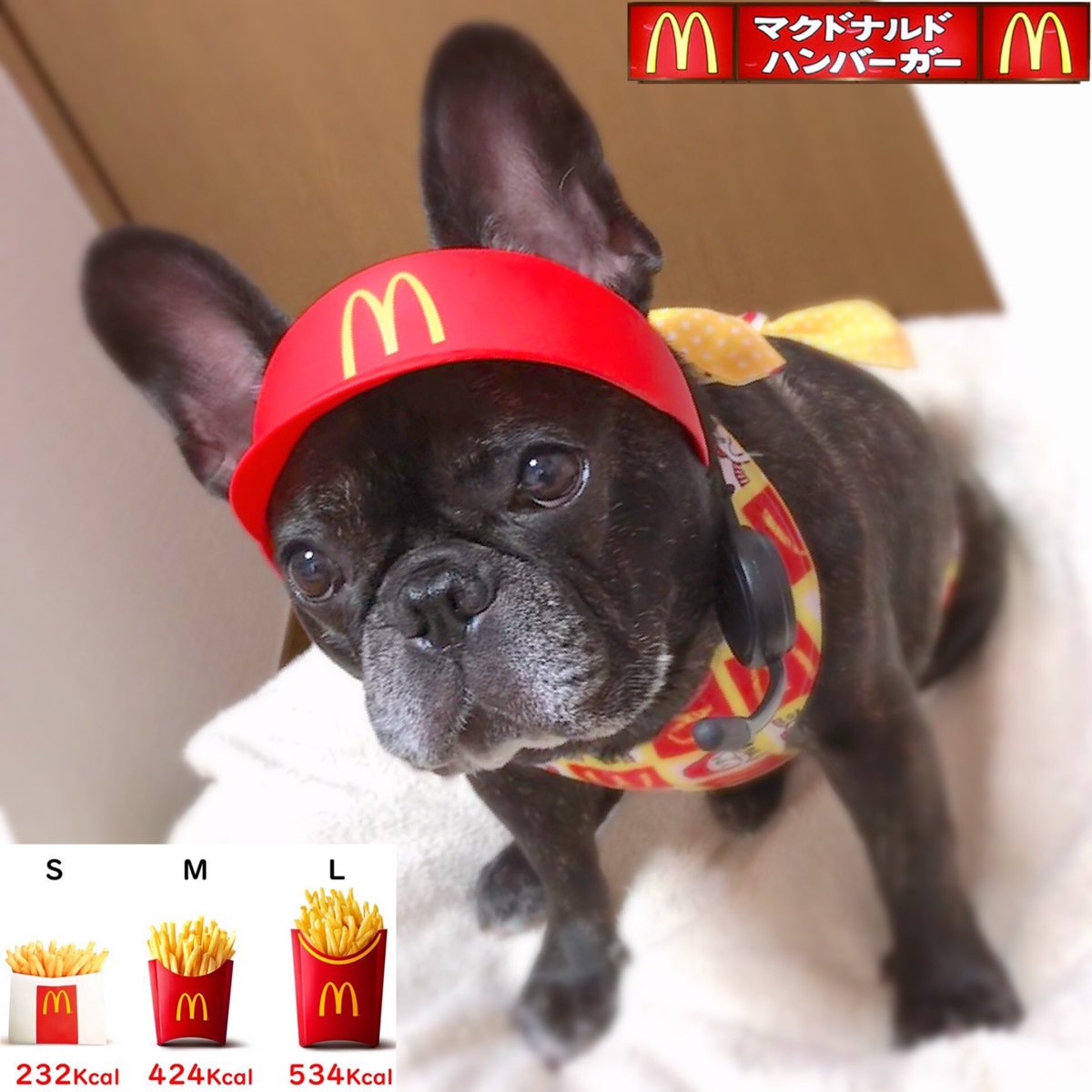 なりきりマクドナルド