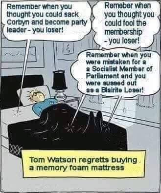 CatsDadCrafts's tweet photo. #WatsonMustGo #TWatsonOut #WatsonOutNow #Pidcock4Deputy #JC4PM https://t.co/TwiQpOZEQe