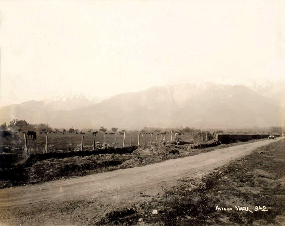 Avenida Macul de Santiago de Chile, c1910.