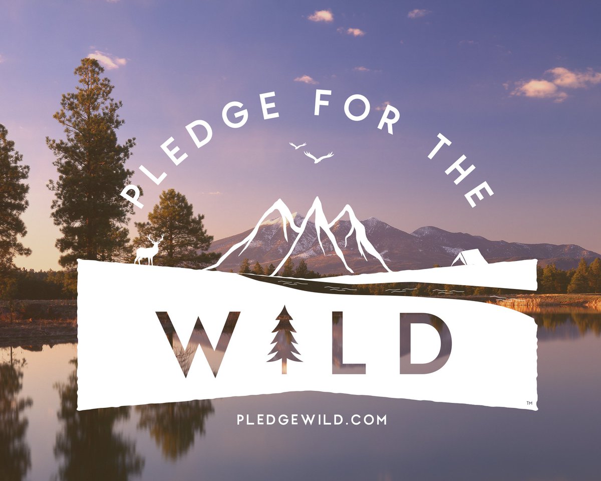 DiscoverFlg's tweet photo. @StanleyRoberts @CoconinoNF Flagstaff recently partnered with four other mountain towns around the country to launch Pledge for the Wild, a responsible tourism initiative encouraging visitors to give back to the wild. More details coming soon. Learn more at: https://t.co/GF8PtUwa8c #PledgeWild https://t.co/6r486vpEoI