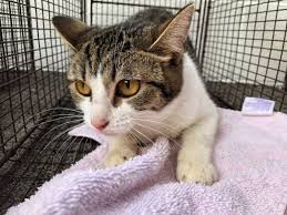 maxwelleric10's tweet image. 