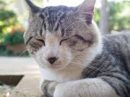 maxwelleric10's tweet image. 