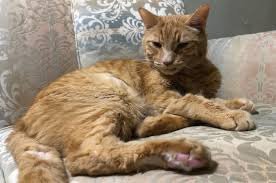 maxwelleric10's tweet image. 