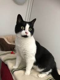 maxwelleric10's tweet image. 