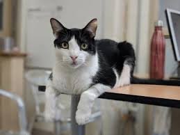 maxwelleric10's tweet image. 