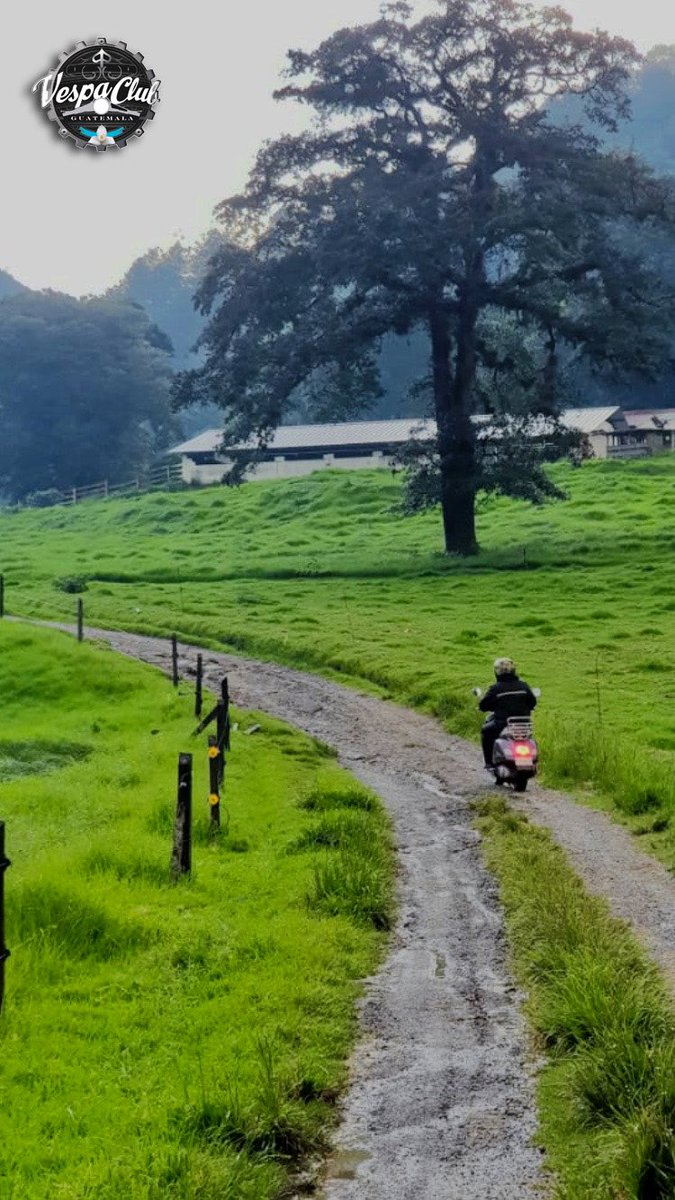 VespaVCG's tweet photo. #HaciendaMilAmores de donde nace el #QuesoChancol Guatemala es Impresionante ! 🇬🇹❤️🙌🏻🛵 https://t.co/gmSlM2k9Aj