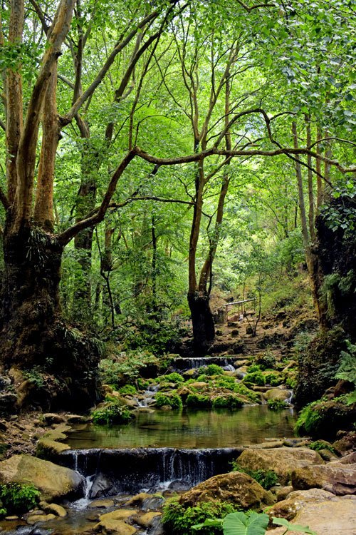 QroTravel tweet picture
