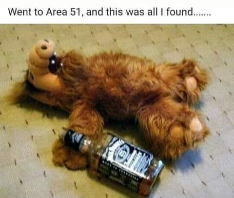 Grand_Infidel's tweet photo. #Area51alien #Area51 https://t.co/NFkvr3ZIxW